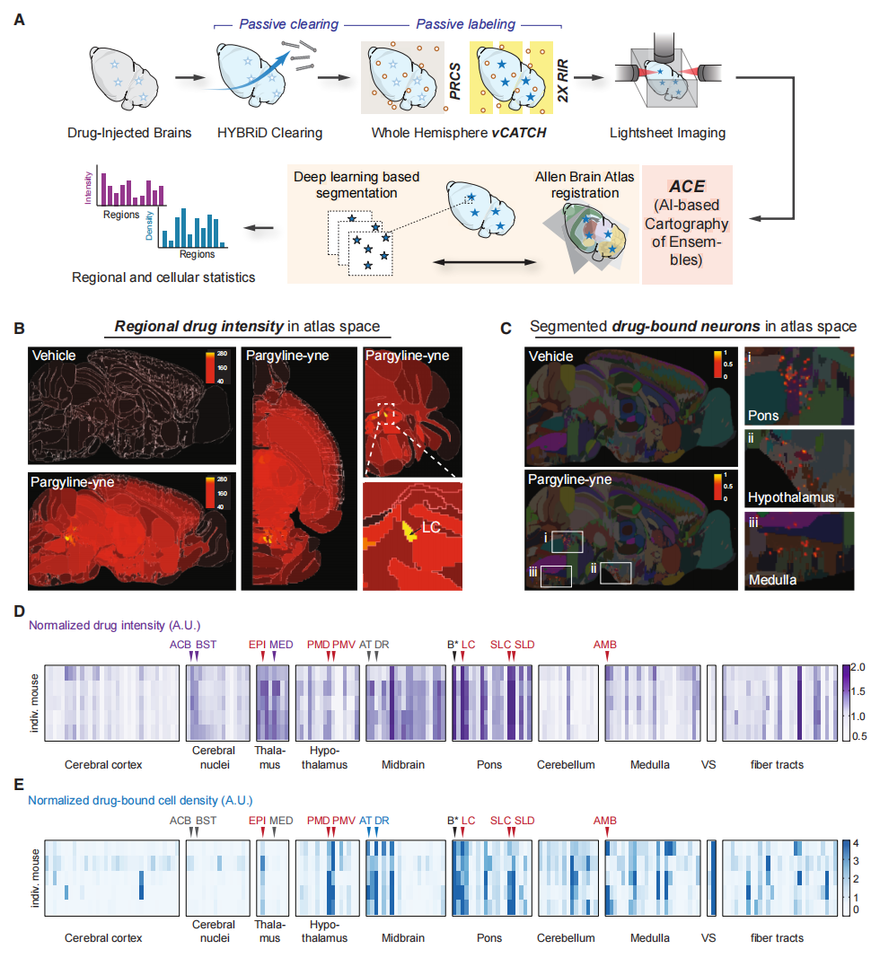 1772604459221079352.png 2.png