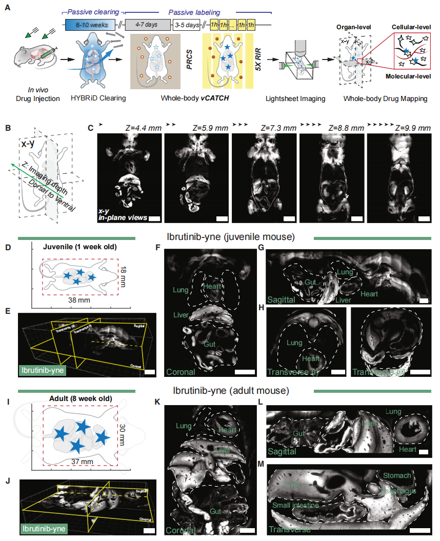 1772604488494073414.png 3.png