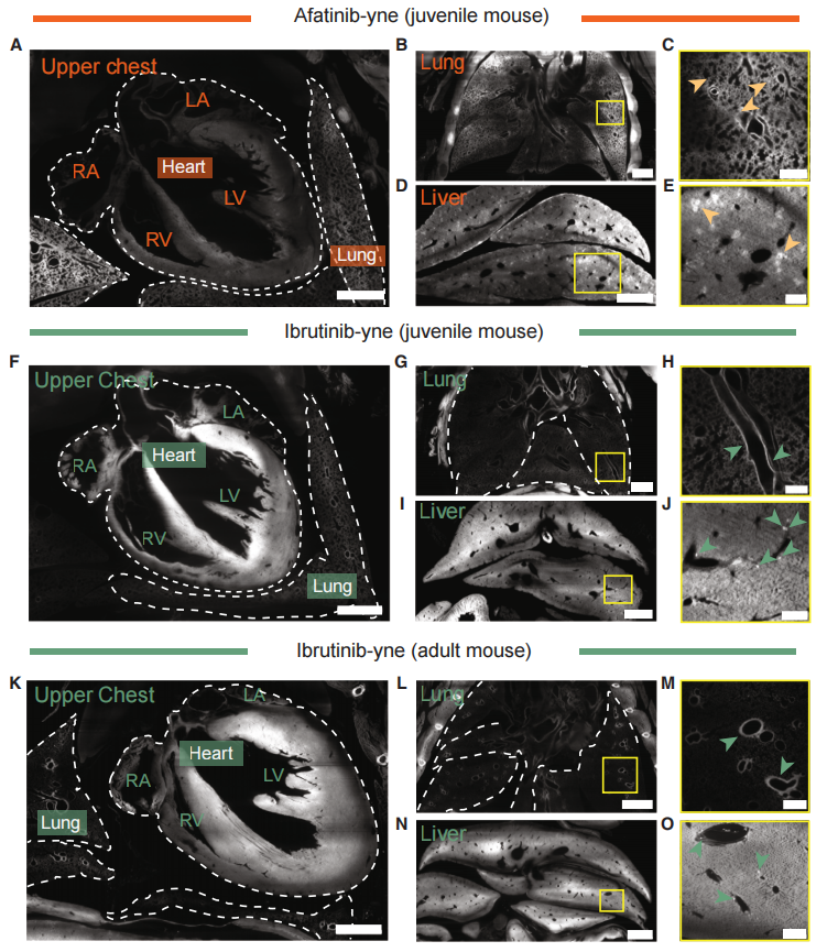 1772604513079038673.png 4.png