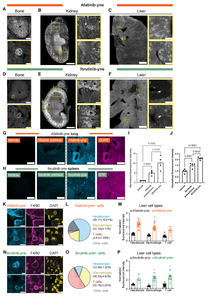 1772604546224033949.png 5.png