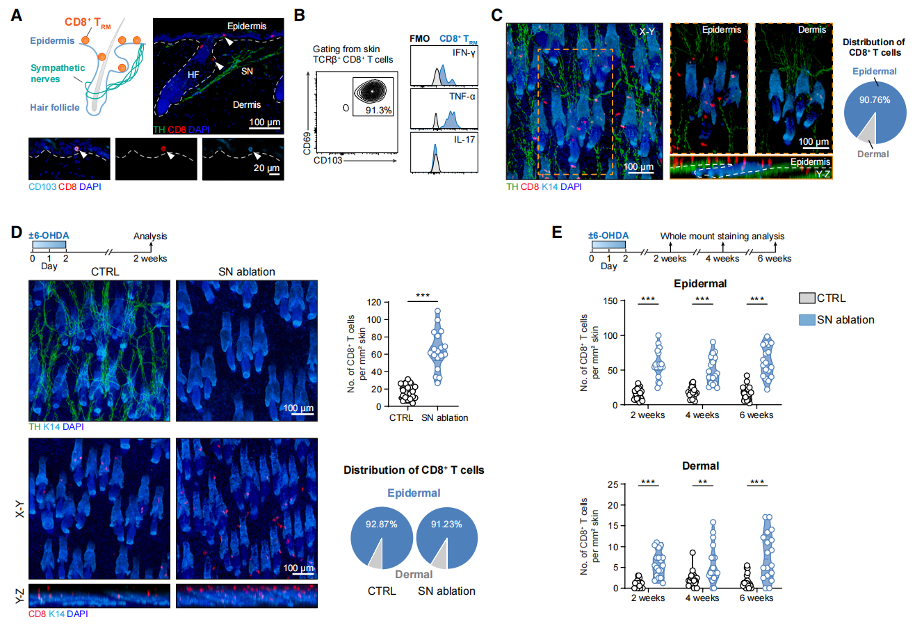 1775025709716051470.png 1.png