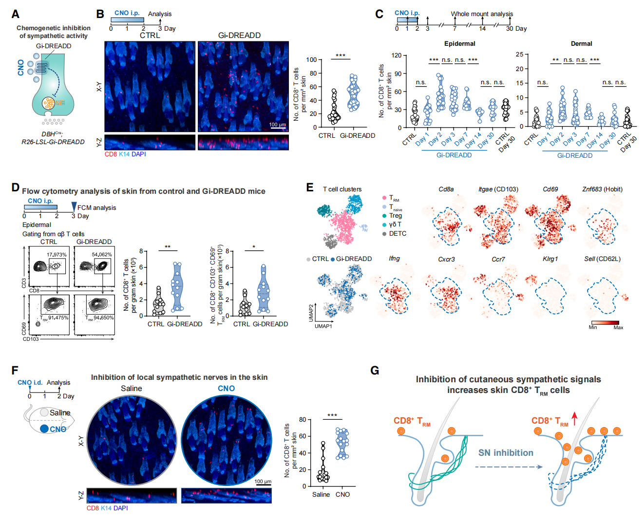 1775025753726004021.png 2.png