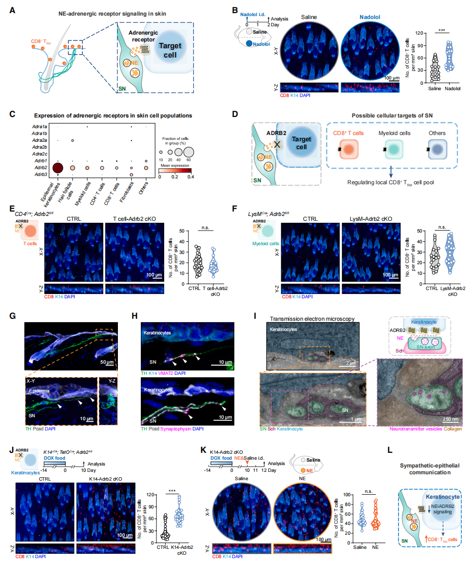 1775025787185027526.png 3.png