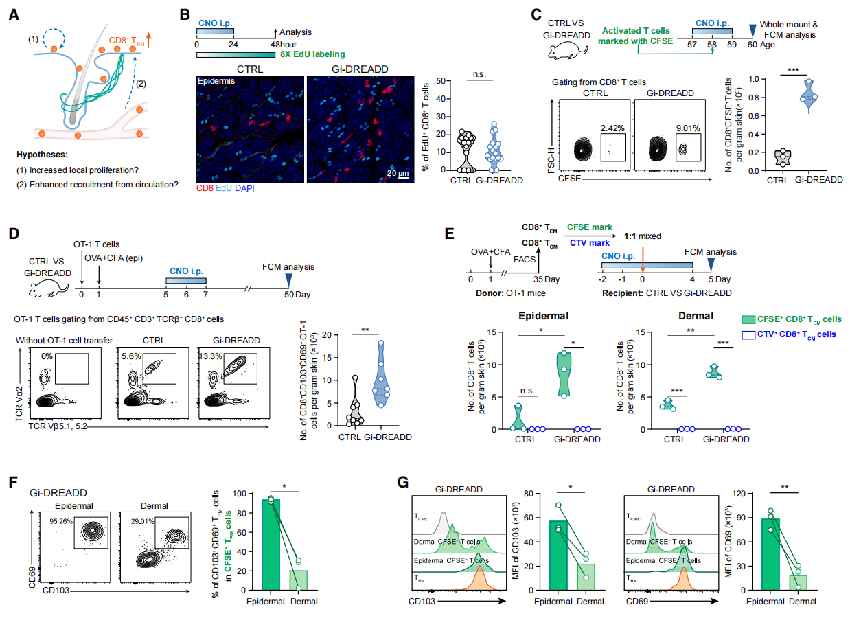 1775025815685006995.png 4.png