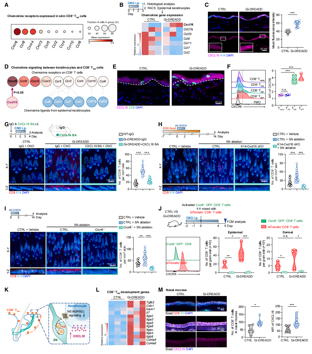 1775025908168037459.png 5.png