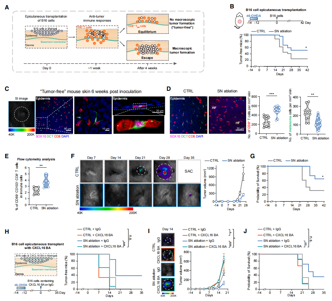 1775025988715004682.png 6.png