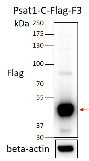 152x200
